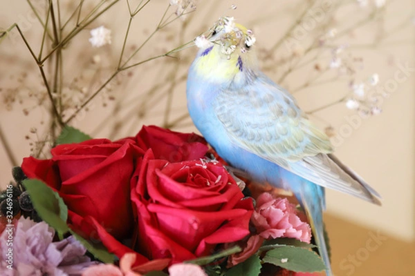 Obraz セキセイインコ パステルレインボーと花束