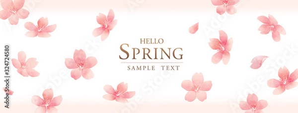 Fototapeta 水彩の春の花　桜のベクターイラスト　Elegant Spring Flowers Vector illustration Background