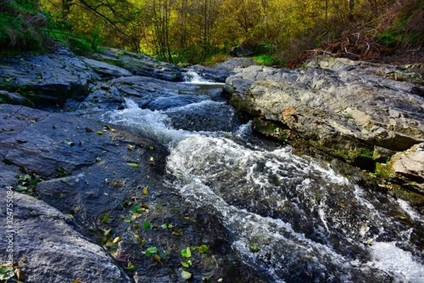 Obraz mountain stream in the forest