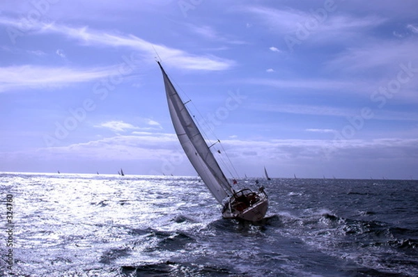 Obraz  sailing in a championship