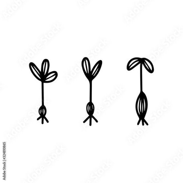 Fototapeta Seedlings in hand drawn doodle style isolated on white background. Vector outline stock illustration. Sign gardening element.