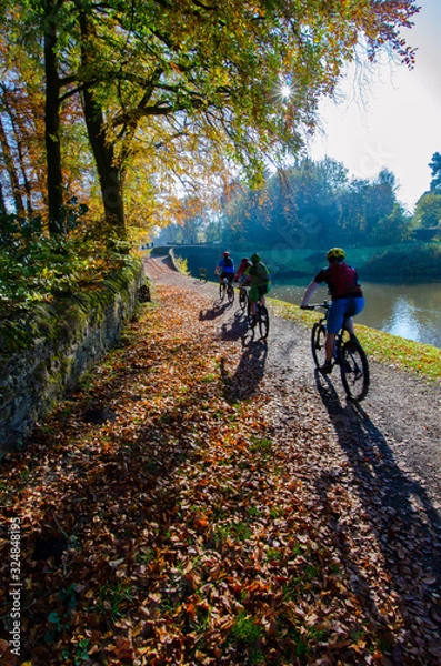 Obraz cyclist in the forest