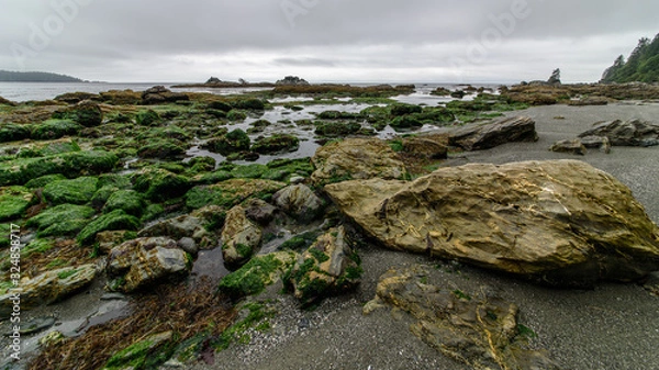 Fototapeta Low tide in a bay of the Pacific-Rim-Nationalpark, Vancouver Island, North-America, Canada, British Colombia, August 2015