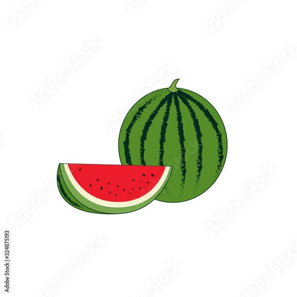Obraz Big watermelon fruit vector illustration.