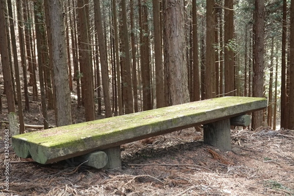 Fototapeta 苔の生えたベンチ