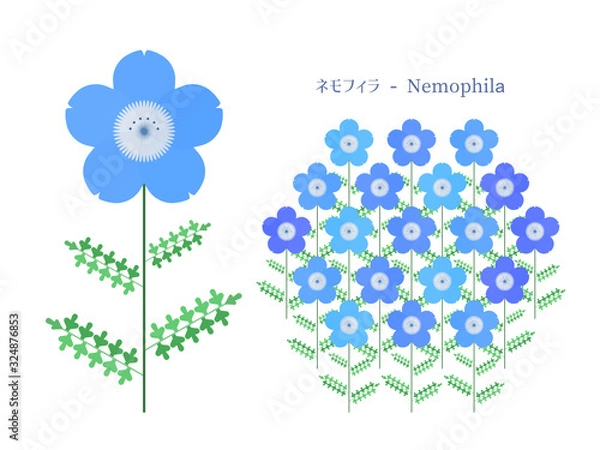 Obraz ネモフィラのシンプルイラスト