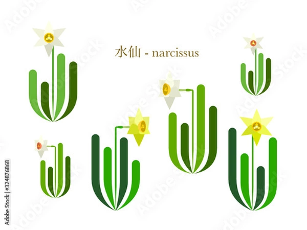Obraz 水仙のシンプルイラスト
