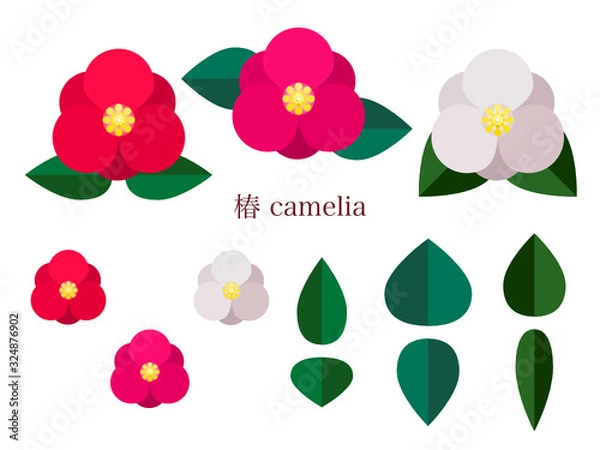 Obraz 椿のシンプルイラスト