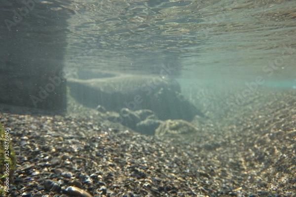 Fototapeta 川の中