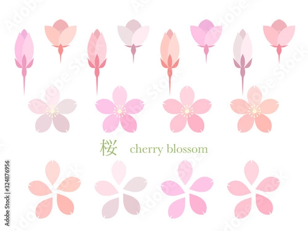 Obraz 桜の花のシンプルイラスト