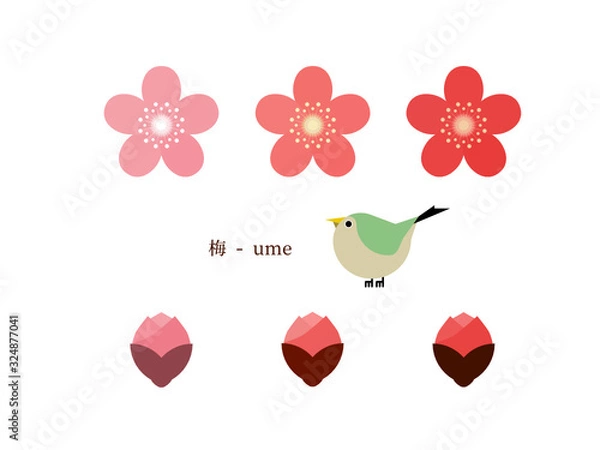 Obraz 梅の花のシンプルイラスト