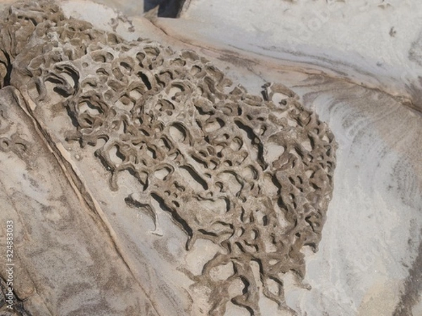 Obraz OLYMPUS DIGITAL CAMERA