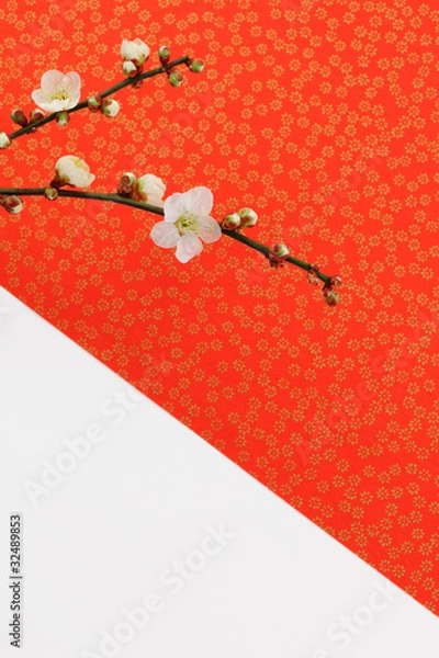 Obraz 赤い千代紙と白梅