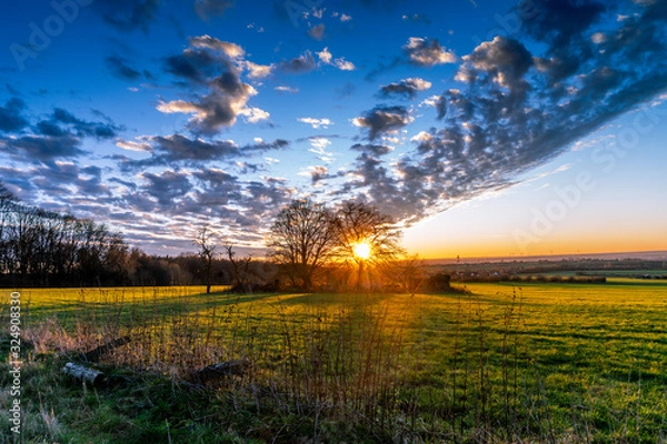 Obraz Golden sunset over grassfield
