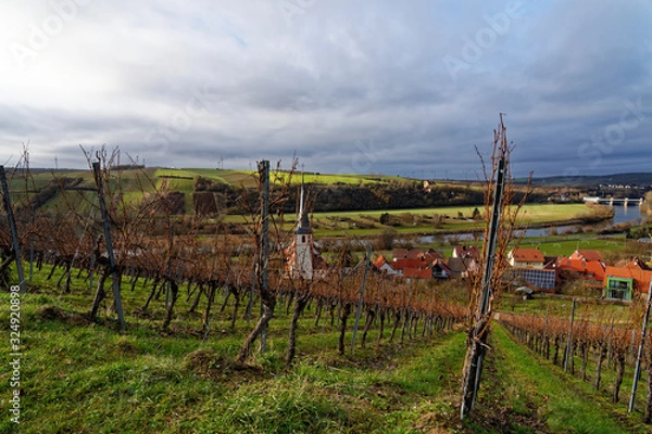 Fototapeta Landschaft und Weinberge bei Stammheim, Landkreis Schweinfurt, Unterfranken, Franken,  Bayern, Deutschland.