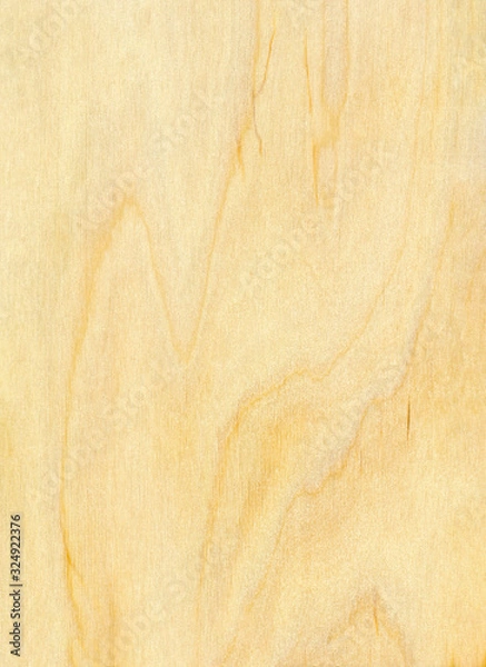 Obraz Abstract wooden background.