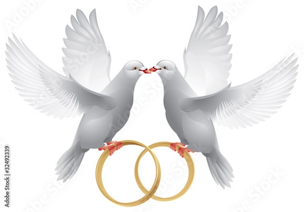 Obraz Wedding white doves with rings