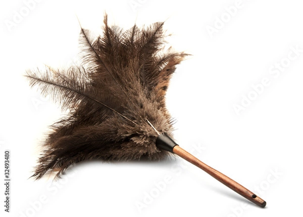 Fototapeta feather duster