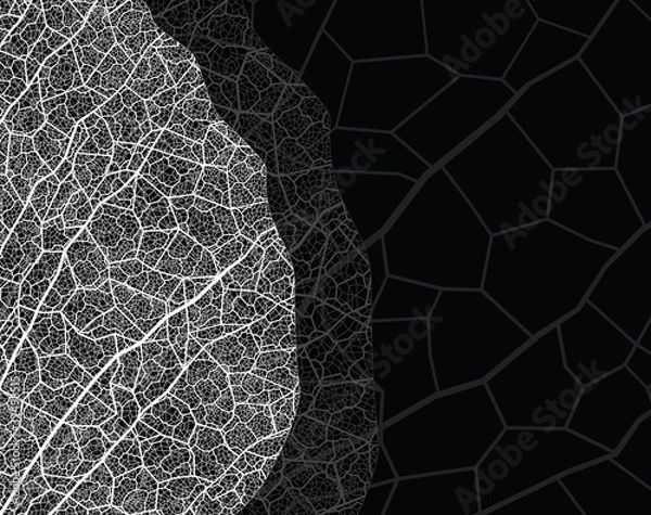 Fototapeta nature theme vector banner. eps10