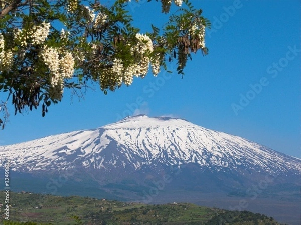 Obraz fronde e etna