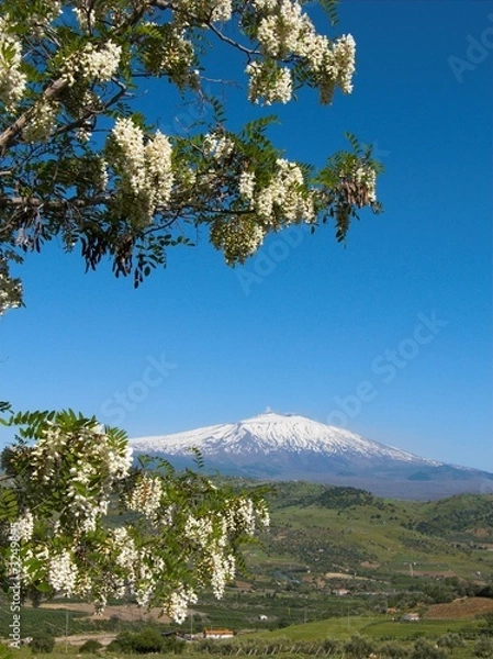 Fototapeta fronde e etna
