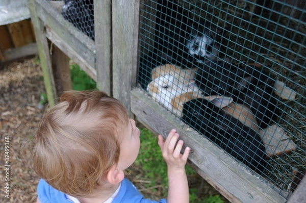 Obraz Kind am Hasenstall