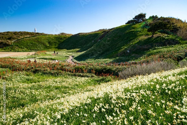 Obraz 爪木崎の公園