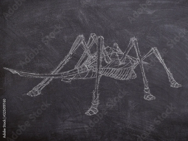 Obraz Chalk fantasy creature illustration