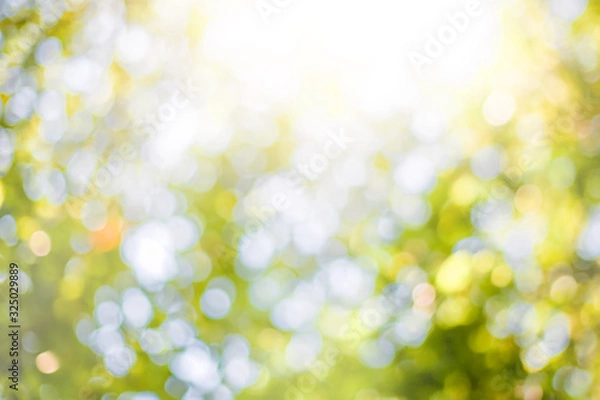 Obraz Green leaf background Blurred leaves, circular bokeh, abstract from beautiful leaves, green nature concepts and for design images and computer screens.