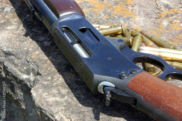 Obraz rifle and ammunition