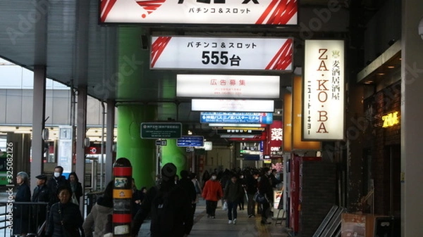 Fototapeta 海辺の公園