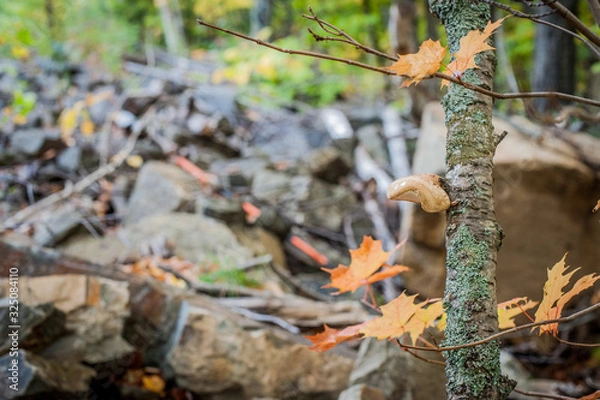 Obraz Mont-Sainte-Anne