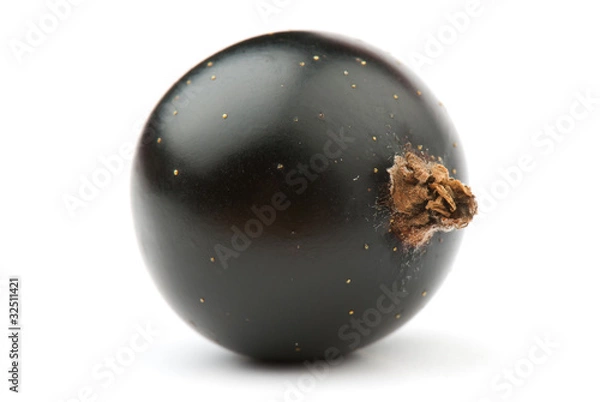 Fototapeta blackcurrant