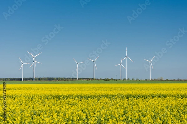 Fototapeta blooming yellow canola field with wind turbines in th background
