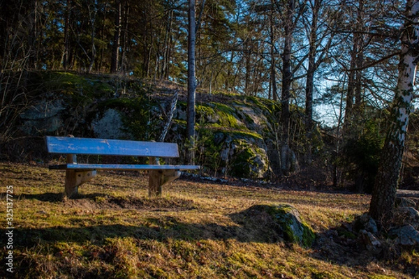 Obraz bench in the park