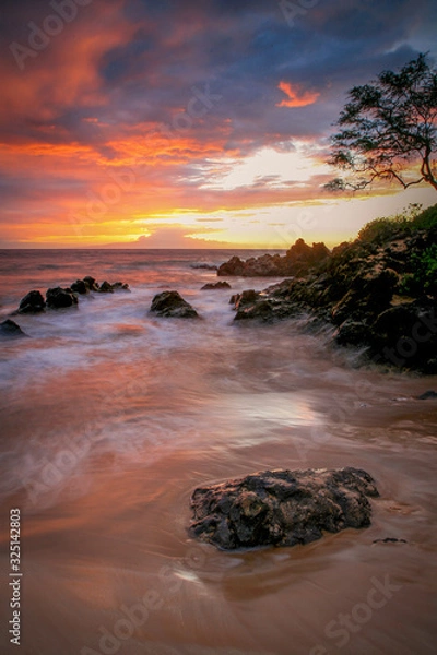 Obraz Maui Sunset