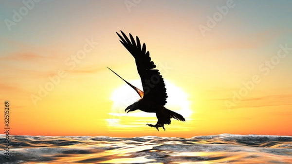 Fototapeta 鷲