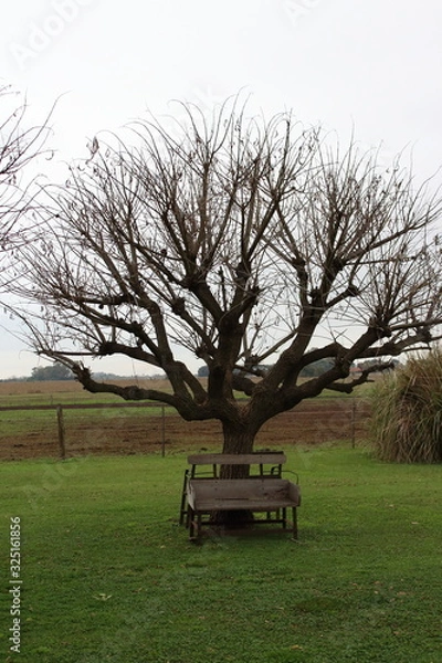 Obraz bench on the ranch