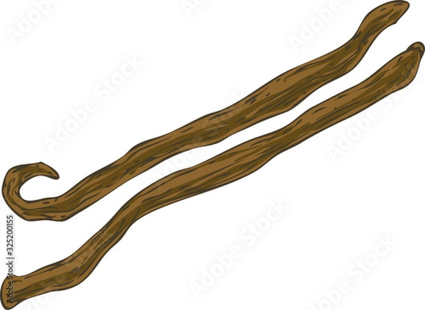 Fototapeta Two Vanilla Sticks