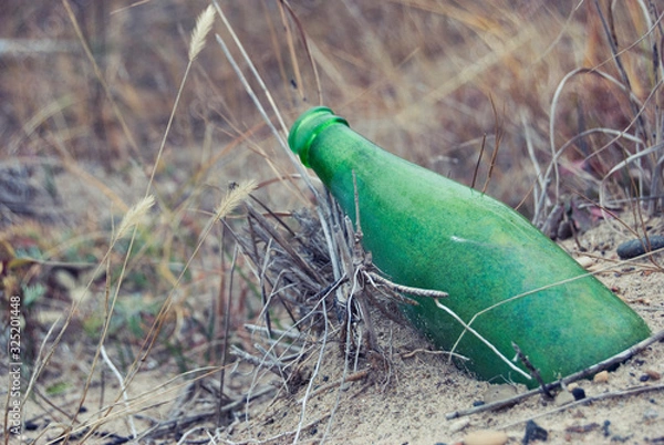 Obraz Green Bottle in the Sand