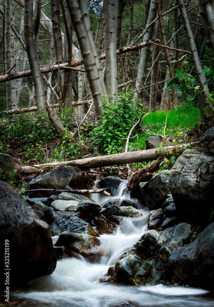 Obraz Bumbling Brook