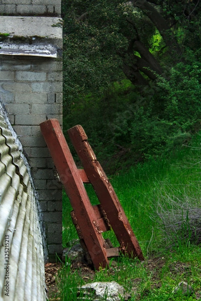 Obraz Old Ladder