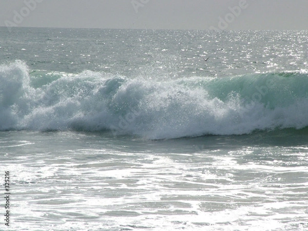 Obraz vague ocean pacifique