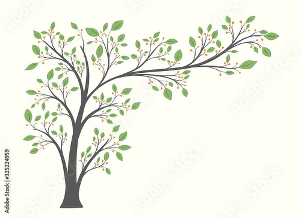 Fototapeta Flowering tree with a long branch with green leaves and berries isolated on a light background