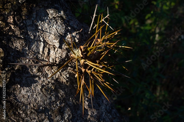 Fototapeta la laguna
