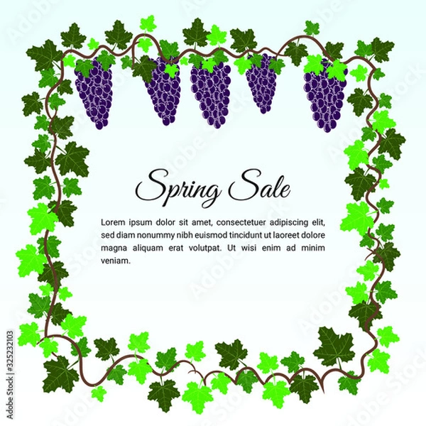Obraz Grape Fruit in spring sale banner