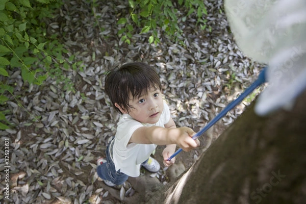 Obraz 虫取りする子供