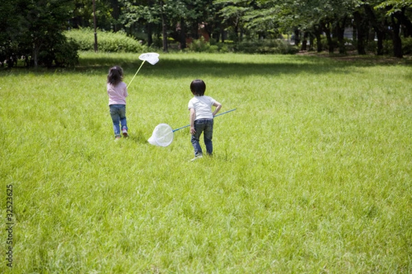 Fototapeta 虫取りする子供たち