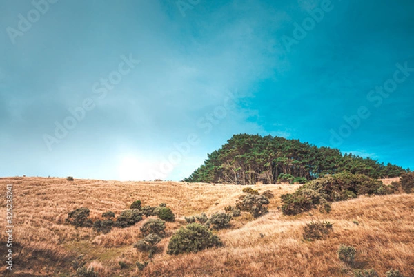 Fototapeta Landscape of Makara Beach in summer, Wellington, New Zealand  