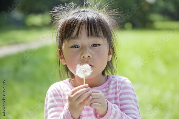 Obraz 綿毛を飛ばす子供